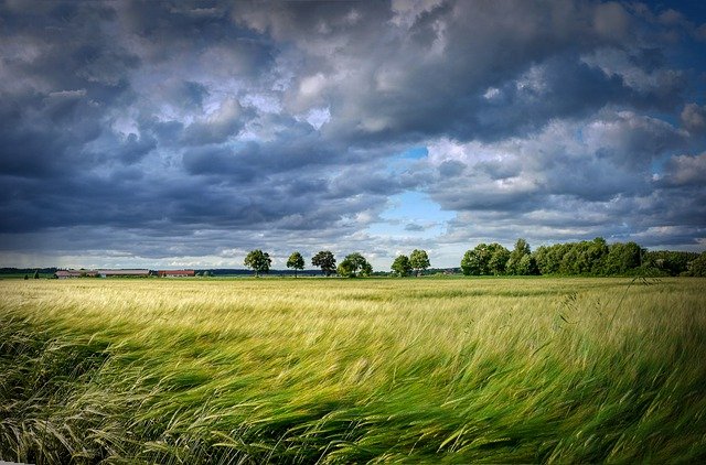 SETVA SKORO KAO PRE RATA, ALI… Da bi se planovi ostvarili, Ukrajina mora da deminira poljoprivredno zemljište