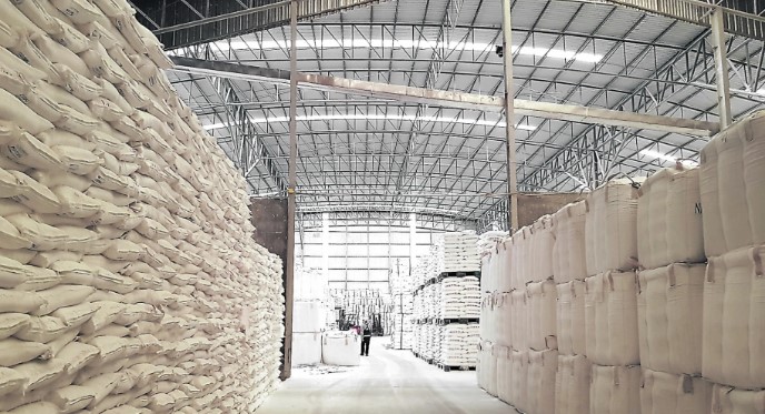 Ruske besplatne isporuke ne menjaju ništa – rast cena pšenice se neće zaustaviti