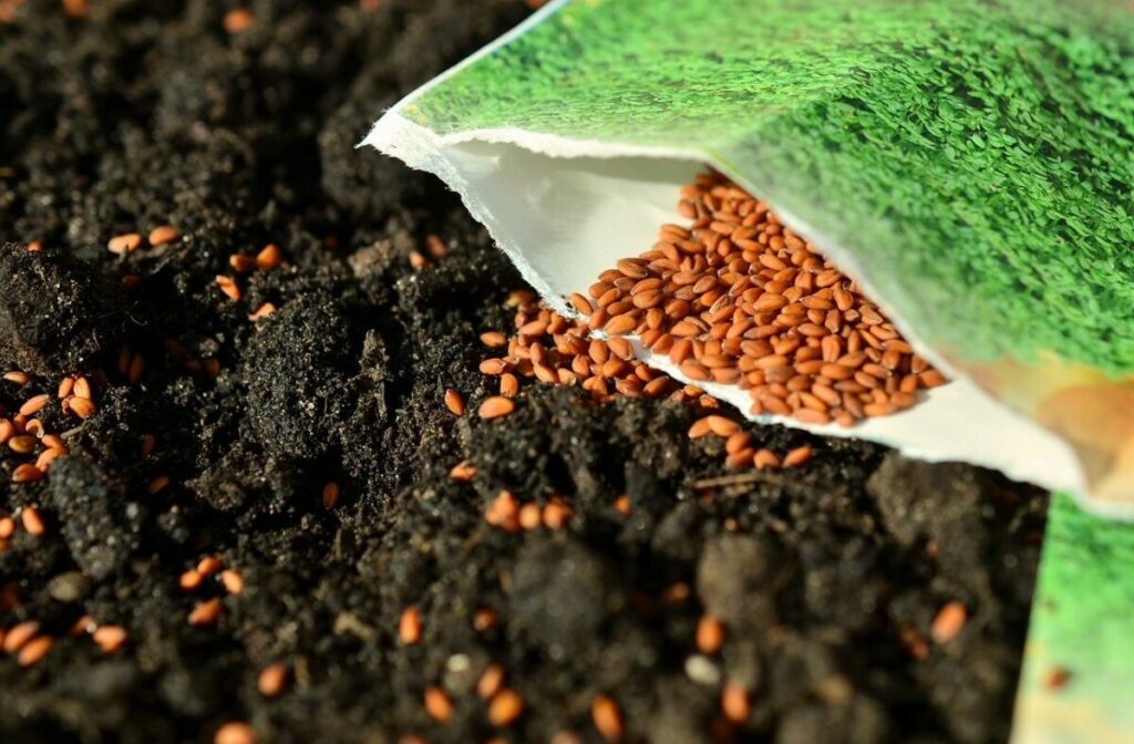 RUSKI PLAN PROTIV GLADI – LEDENA BANKA Planiraju da zamrznu semenje biljaka i tako sačuvaju hranu za hitne situacije