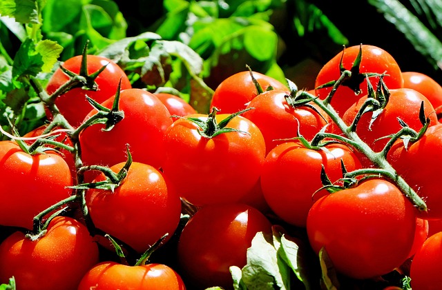 TAKO TO RADE ITALIJANI Da li ste probali da pravite zimnicu sa nanizanim paradajzom?