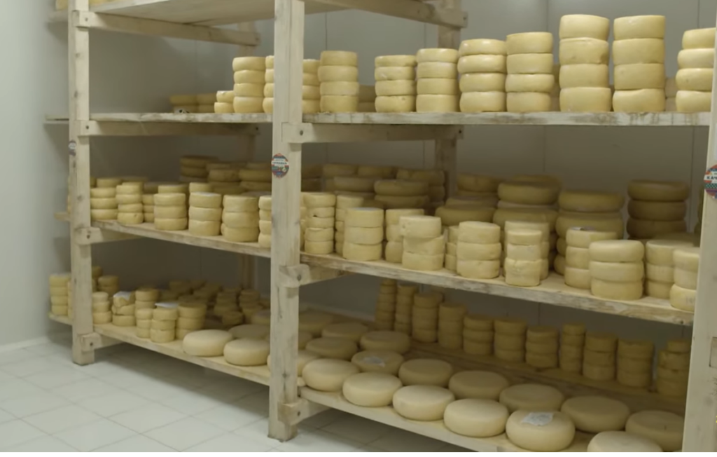 NEIZOSTAVNI DEO SRPSKE TRPEZE Sjenički sir se sve manje proizvodni