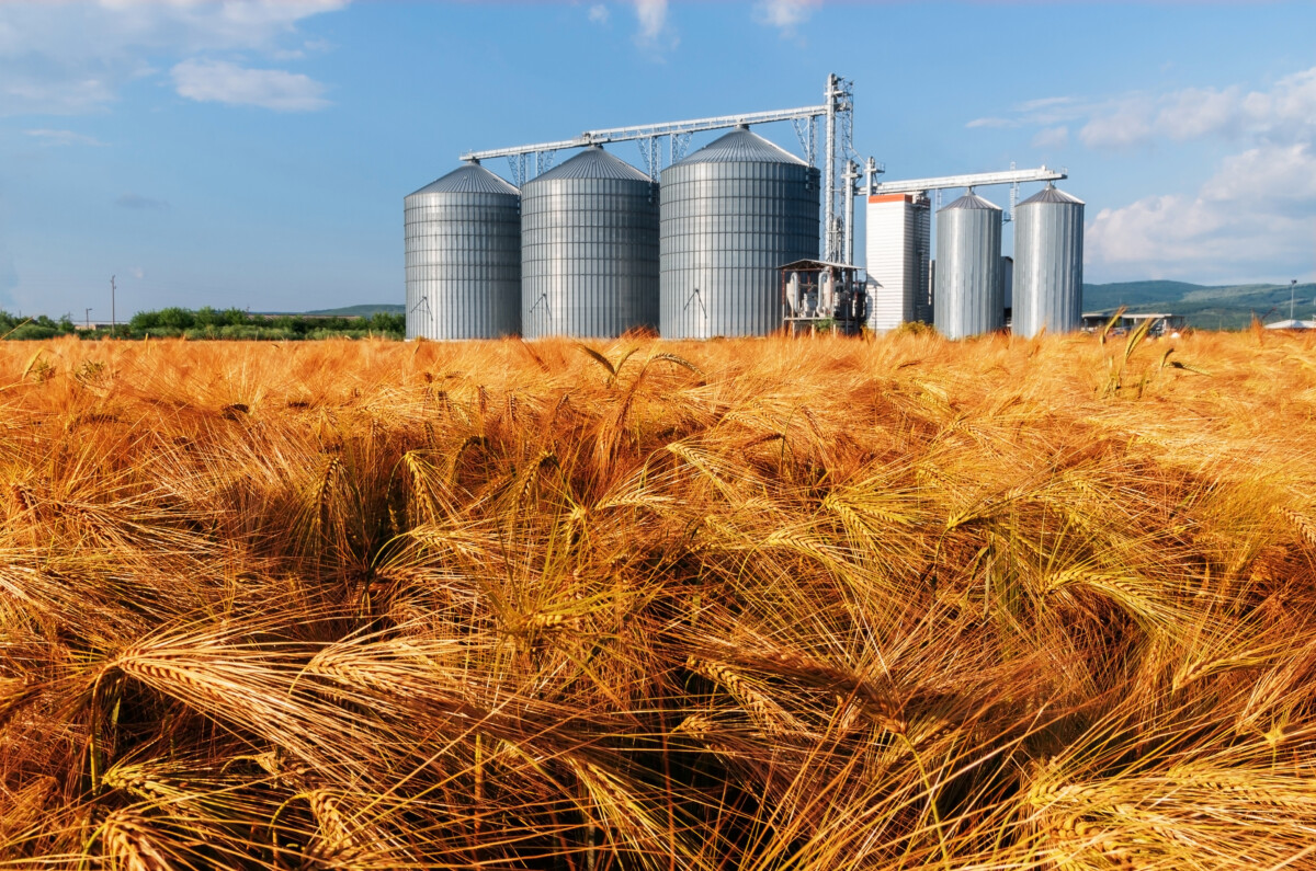 Poljoprivreda Pšenica Silosi Skladištenje