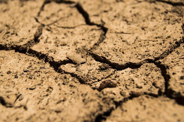MOGLA BI DA BUDE GORA OD PRETHODNE Evropa se ni ove godine neće izvući bez suše, problemi kreću brže nego što su mislili