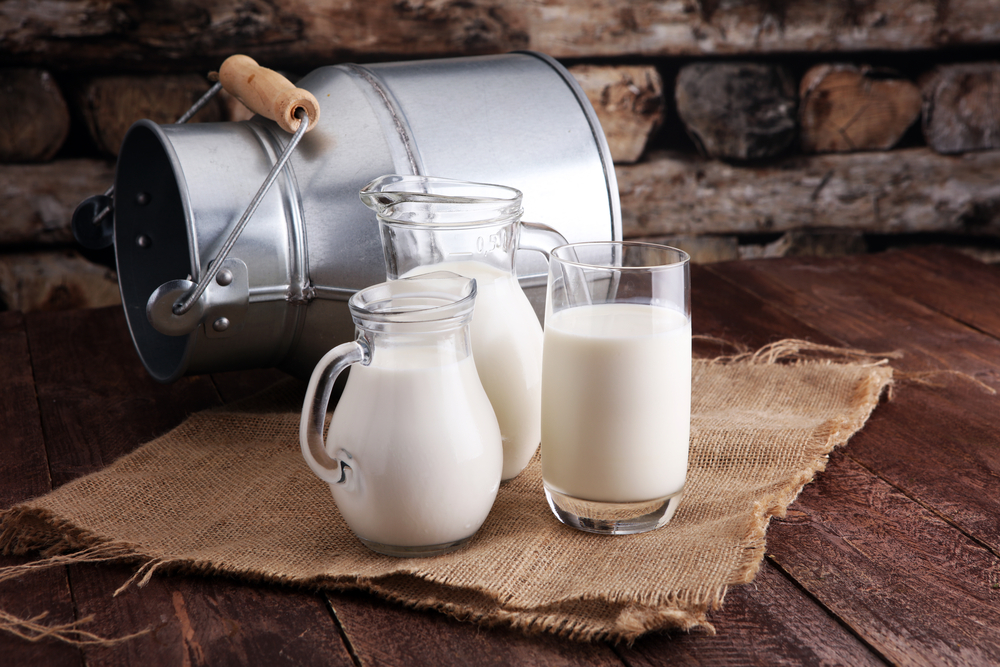 OSIM SEVERNE MAKEDONIJE I ALBANIJE Izvoz mleka zabranjen van granica zemlje, ove dve države su izuzetak