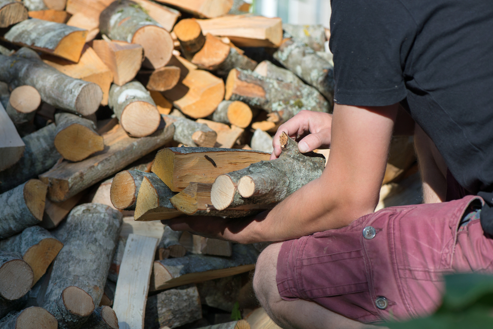 NIJE SVUDA ISTO Cena ogrevnog drveta varira – u pojedinim delovima Beograda i duplo jeftinije