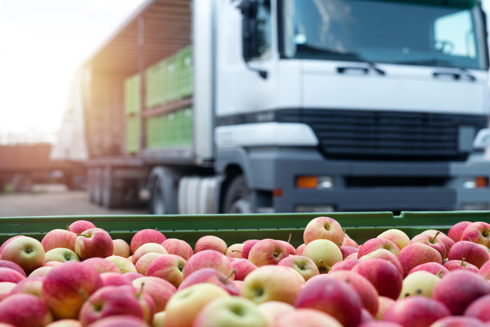 Samo jedno tržište Srbiji je donelo 22 miliona еvra – domaća jabuka zlata vredi
