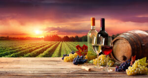ZA JOŠ BOLJA I KVALITETNIJA VINA Srbija u oktobru dobija Institut za vinogradarstvo i vinarstvo