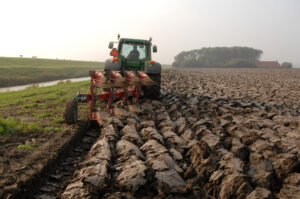 MNOGO JEDNOSTAVNIJE DO NOVCA Brnabić: Uvešćemo e-agrar, olakšava prijavu i kontrolu subvencija za poljoprivrednike