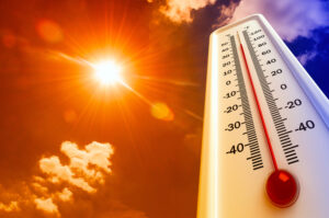 KAKVO JE VREME BILO, NJIVE SU I DOBRO PROŠLE Proteklo leto u Srbiji bilo je treće najtoplije u proteklih 70 godina