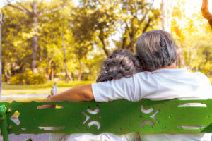 VLADA SRBIJE IMA SPREMNU STRATEGIJU Cilj – rešiti tri ključna problema penzionera