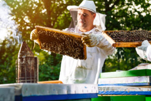 STIŽU PARE ZA PČELARE Ministarstvo poljoprivrede daje subvencije – novac se deli po broju košnica