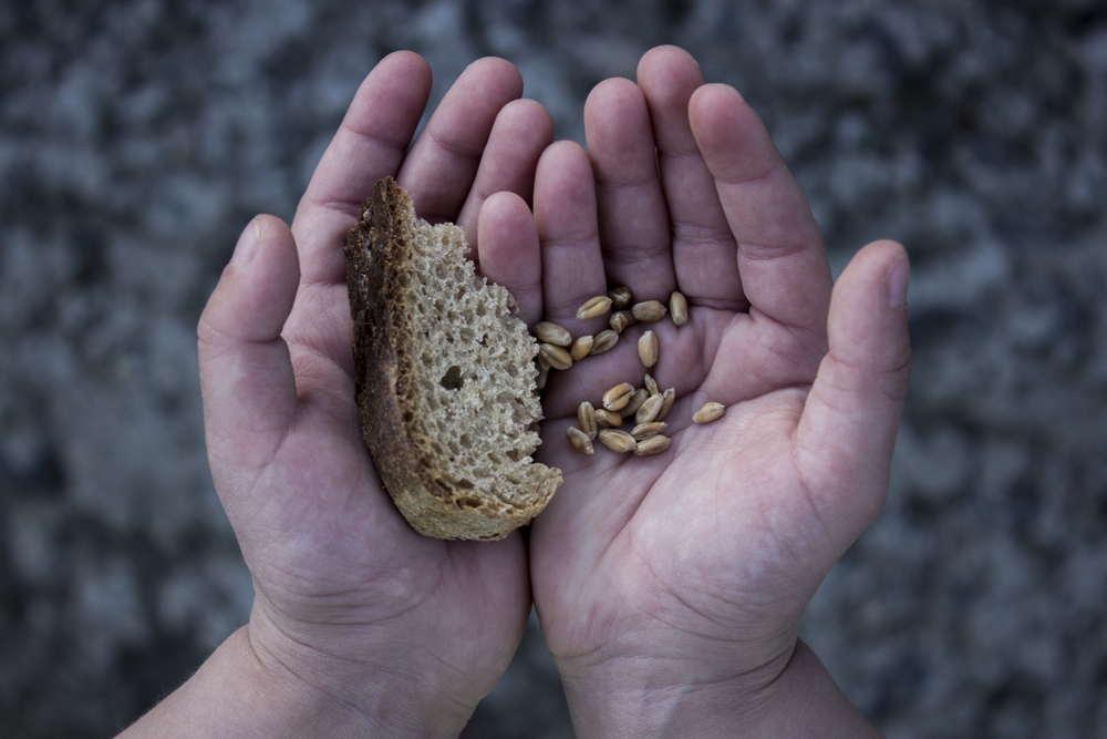 NIKO NEĆE DA NALJUTI PAORE Žestoka svađa zbog jeftinog ukrajinskog žita