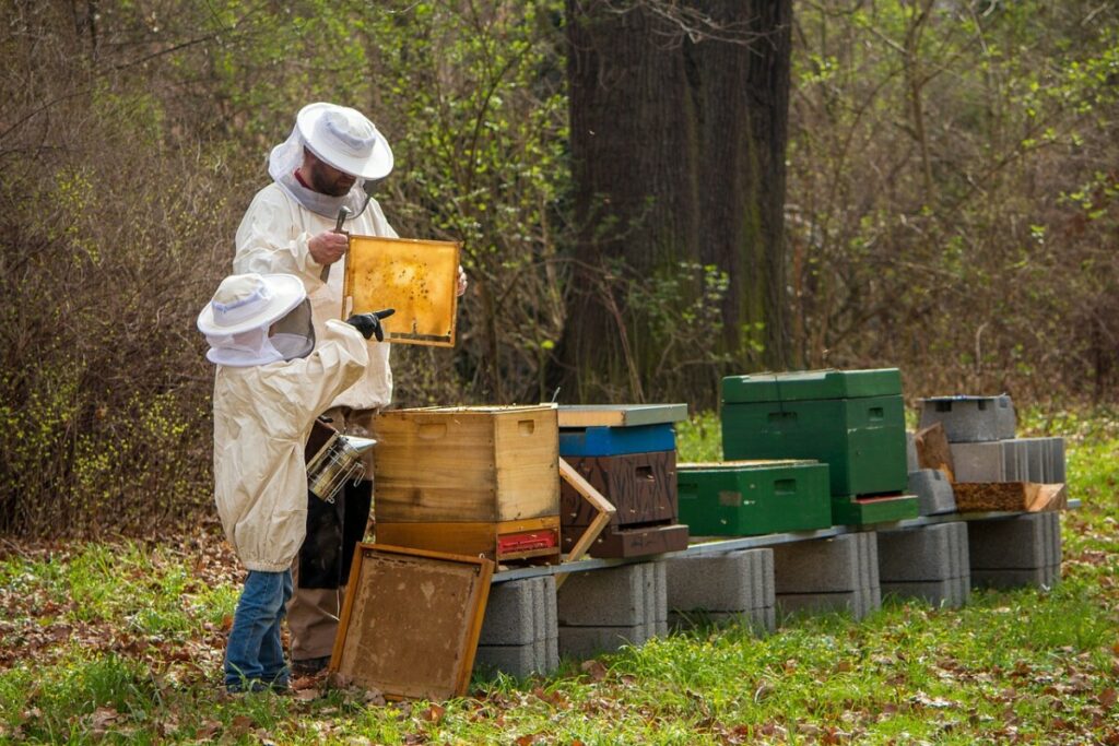 DOBRE VESTI ZA DOMAĆE PRIVREDNIKE Omogućen je izvoz meda u Kinu, potrebno je još nekoliko važnih potpisa
