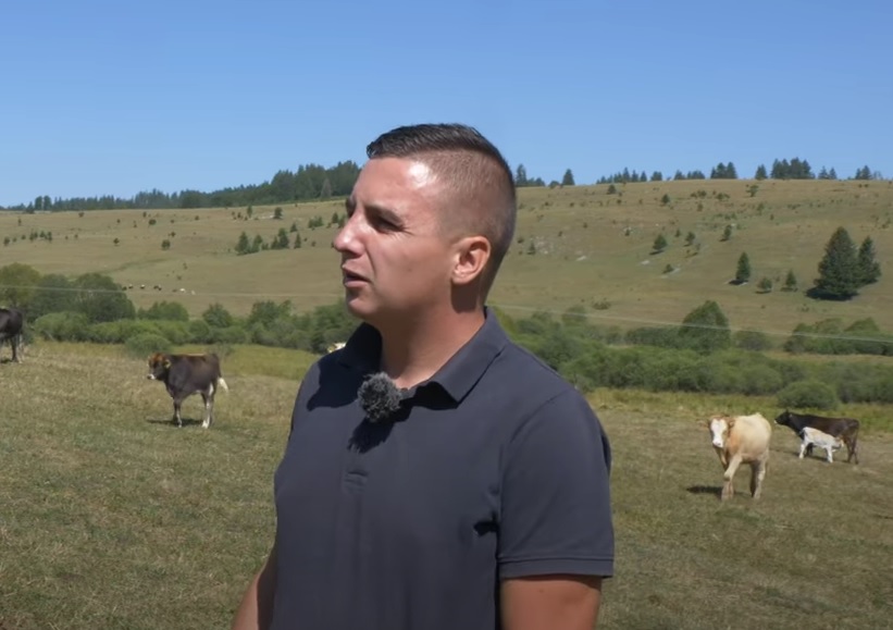 Boris je hteo golfa 7, ali je umesto njega kupio krave – i sad ima i biznis i golfa (VIDEO)