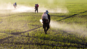 ISTORIJSKA PRESUDA Nemački gigant mora da plati 1,5 milijardi dolara zbog herbicida koji uzrokuje rak
