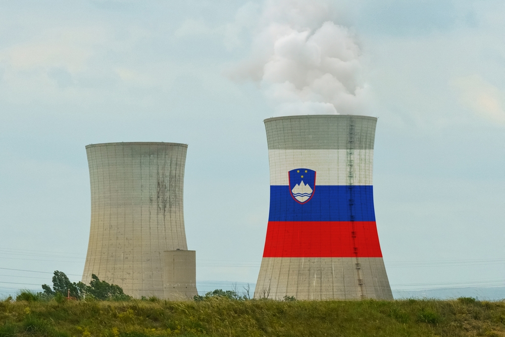 POSLE OPASNOG CURENJA Nuklearna elektrana Krško ponovo radi