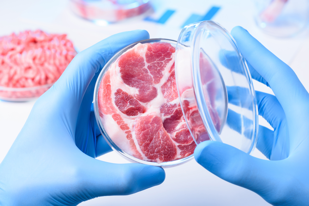 TO SE VEĆ DOGAĐA Da li biste jeli meso iz laboratorije i šniclu iz 3D štampača?