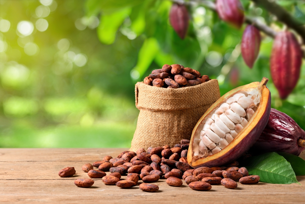 Nezabeleženo – kakao je postao skuplji od bakra