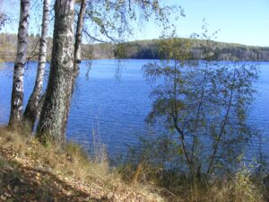 Jezero u Srbiji nudi netaknutu prirodu, plutajuća ostrva, zelena prostranstva uz minimalne troškove