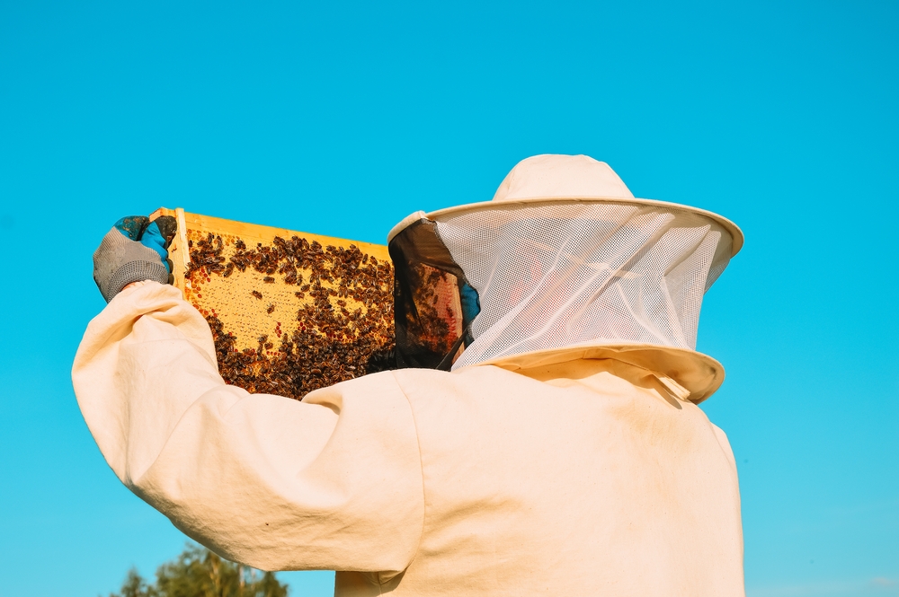NAJSTARIJI PČELAR U SRBIJI Ima 87 godina, radi kao mladić, proizvodi na stotine kila meda