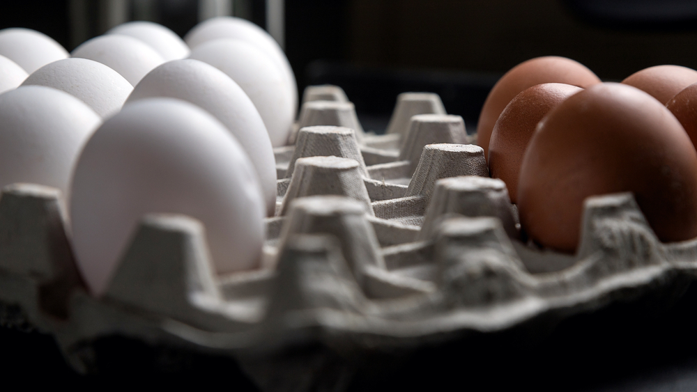 Hrvatska je postala poligon za uvoz jeftinih i manje kvalitetnih jaja